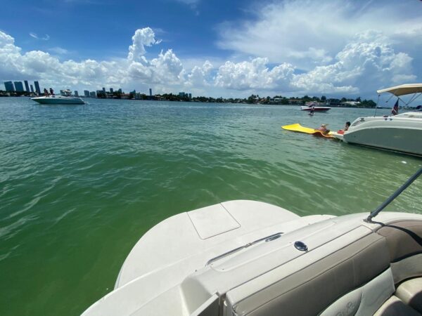 Crownline - Image 7