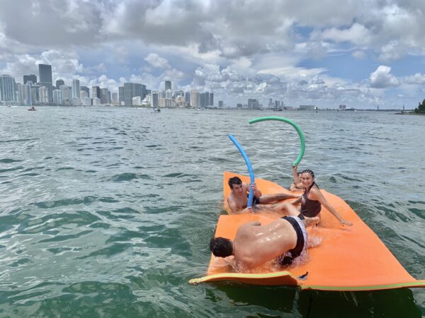 Crownline - Image 5