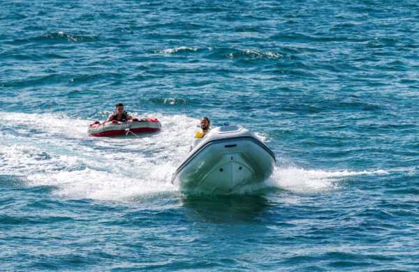 Mistral - Image 38