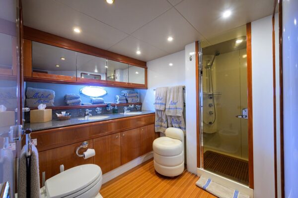 Mistral - Image 7