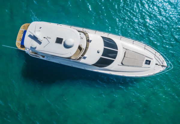 Sea Ray - Image 2