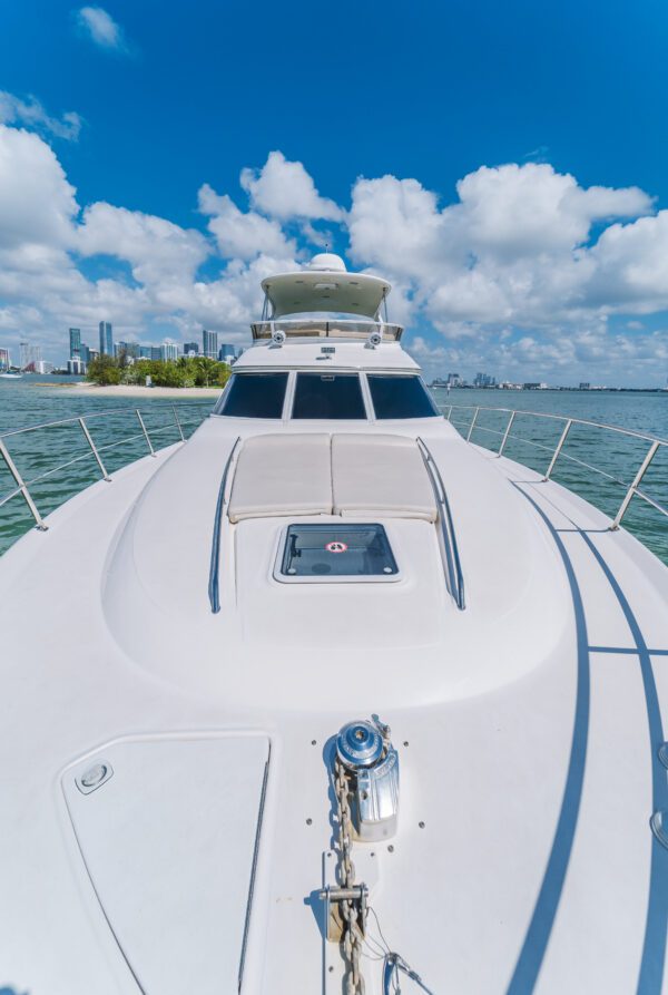 Sea Ray - Image 3