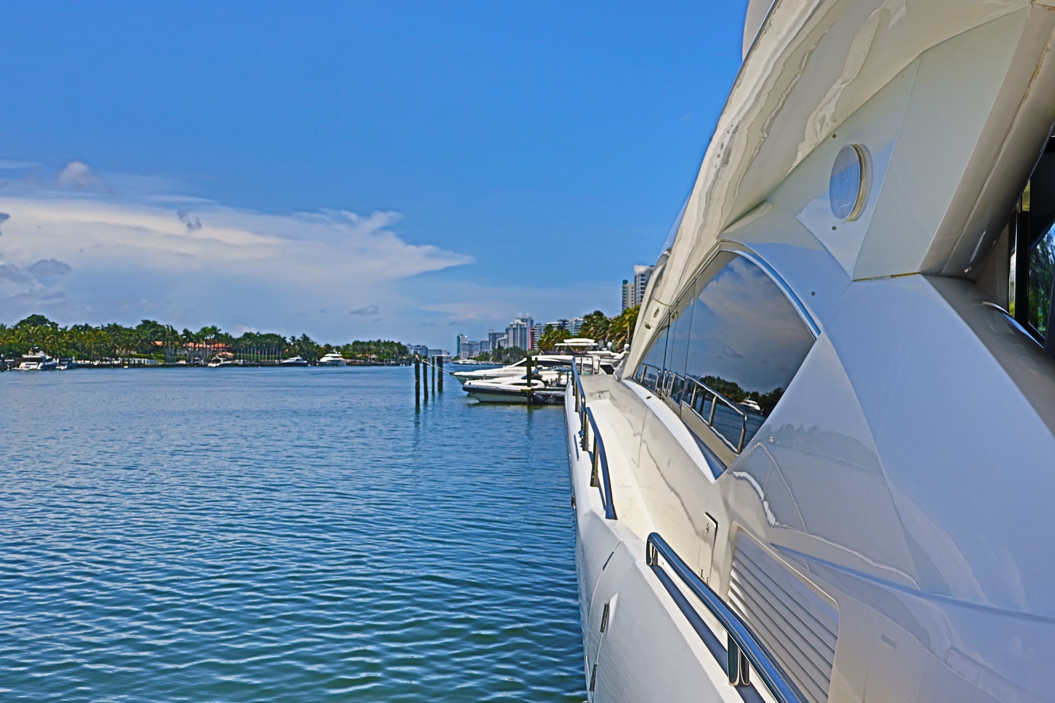 Deep Blue - Image 27